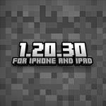 Minecraft 1.20.30 APK 1.20.30